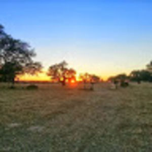 Meet your Posher, Armando